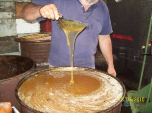 miel-de-abejas-en-tambor-6249-MLA84455101_4602-O