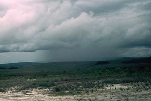 400px-0169_Lluvia_en_la_Gran_Sabana