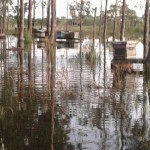 13043784_592619034236209_5079360284649360032_n