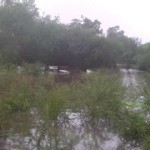 13087796_1735784786706766_2003180368626281120_n