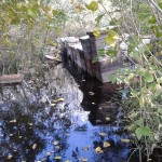 13095736_826045780872308_8254943174835245951_n