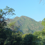 bosque-del-noroeste-de-cordoba