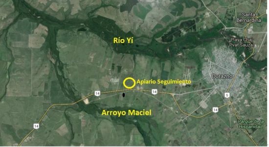 Zona del mal del Rio