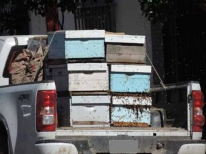 casabejas3