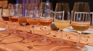 Degustacion-SJ