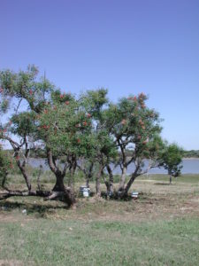DSCN0757