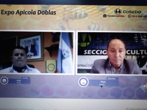 Doblas virtual