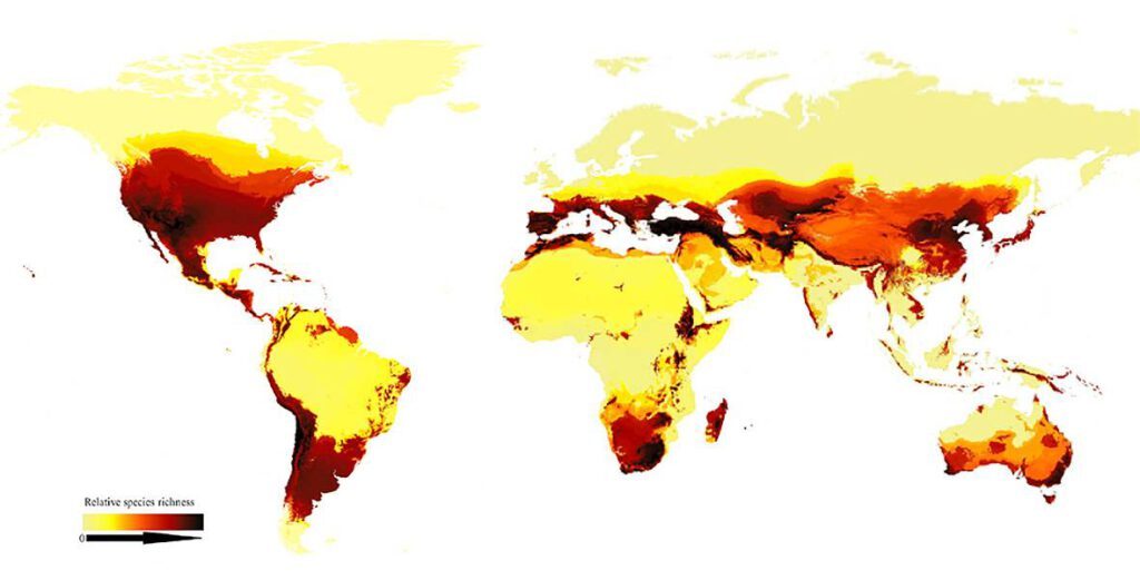 mapa-1024x521-1