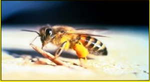 Screenshot_2